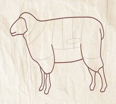 Lamb-cut-chart